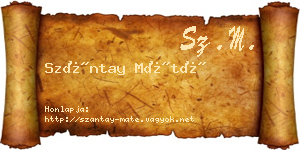 Szántay Máté névjegykártya